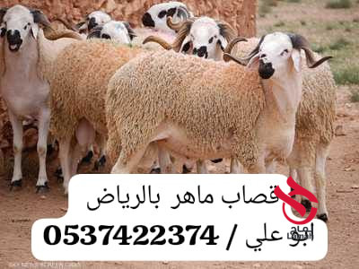 قصاب ماهر بالرياض 0537422374 جزار بالرياض