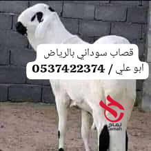 قصاب ماهر بالرياض 0537422374 جزار بالرياض
