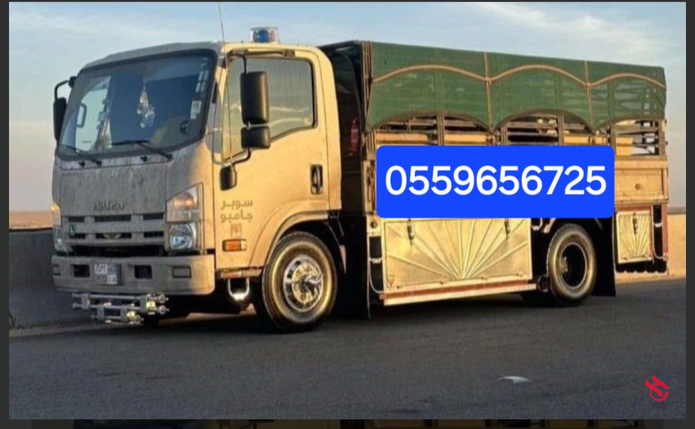 دينا طش الاثاث القديم بالرياض 0559656725