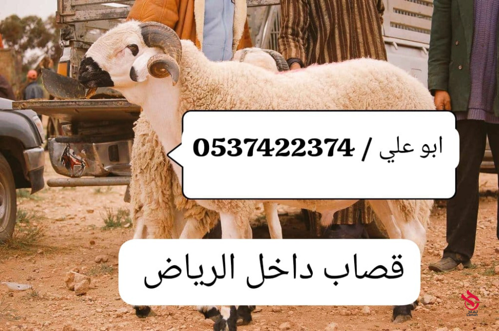 جزار بالرياض 0537422374 سلاخ بالرياض