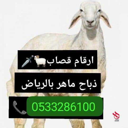 ksabyn-zbayh-balryad-gzaryn-balryad-0533286100-big-0