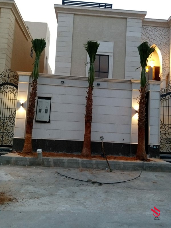 نخل لزينه الفلل والقصور