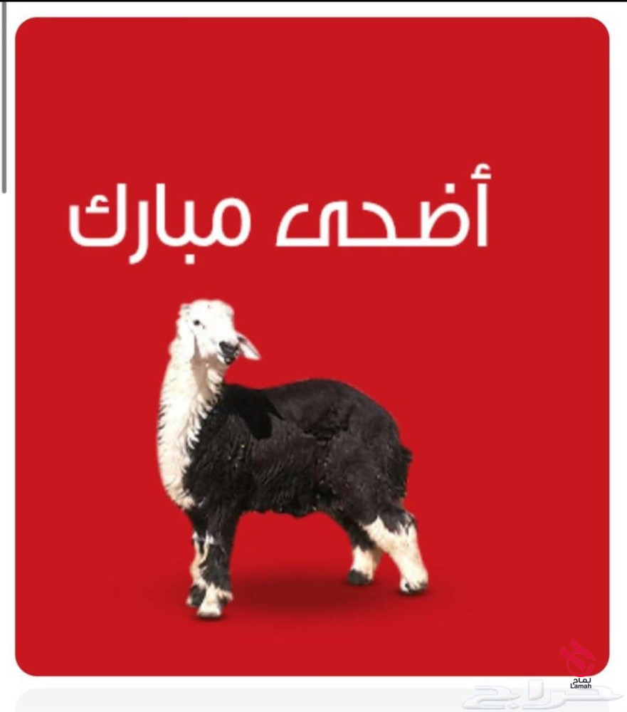 قصابين بالرياض 0508857593 جزار بالرياض