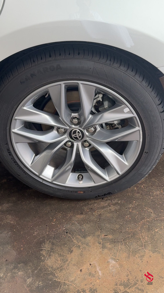 toyota-afln-2023-standr-big-2