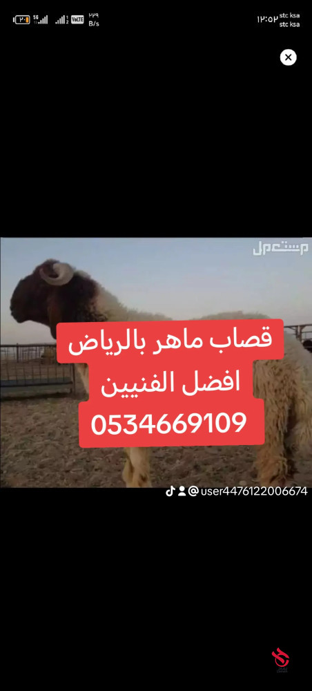 قصاب ماهر شرق الرياض 0534669109