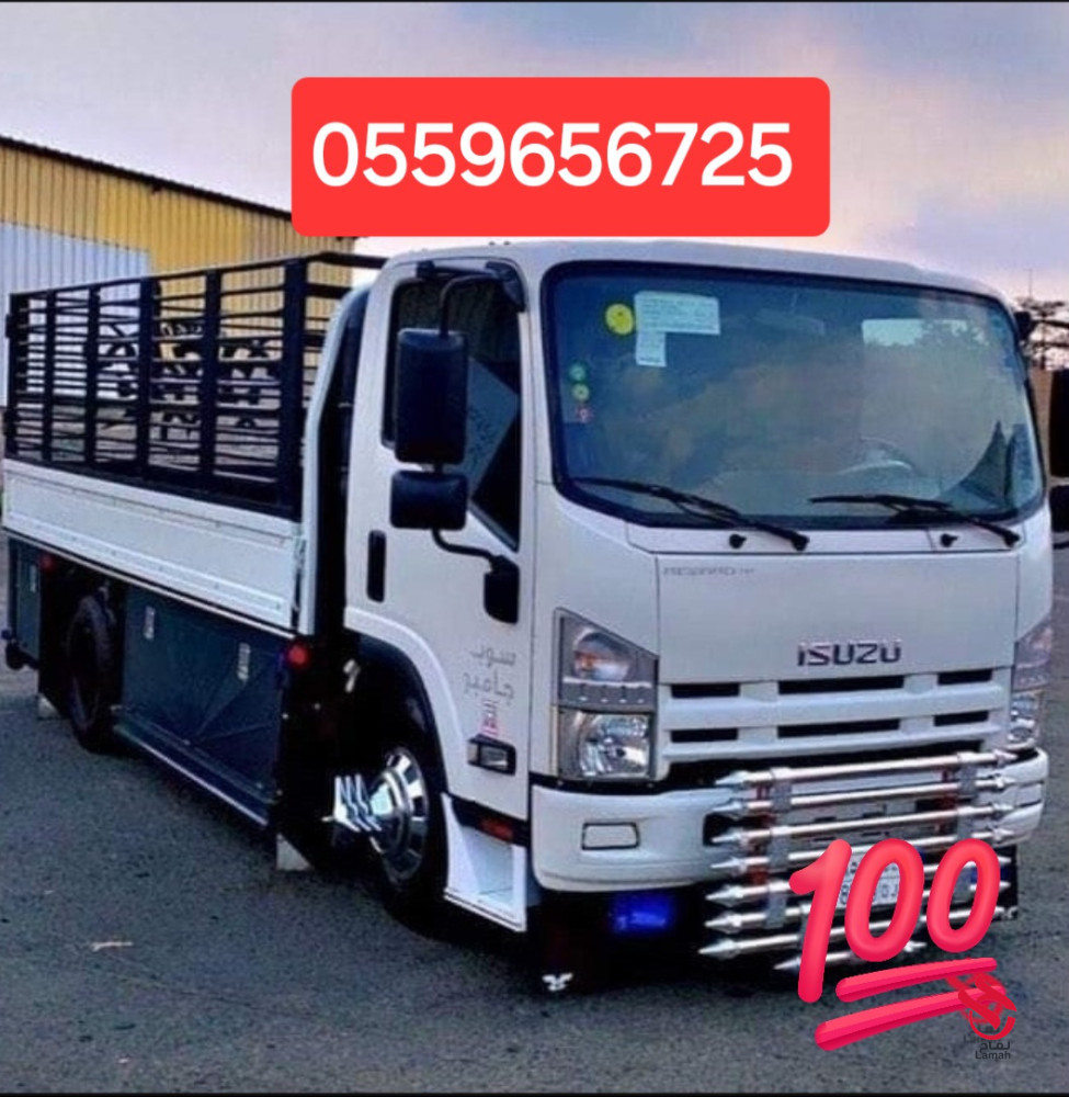دينا طش مخلفات بالرياض 0559656725